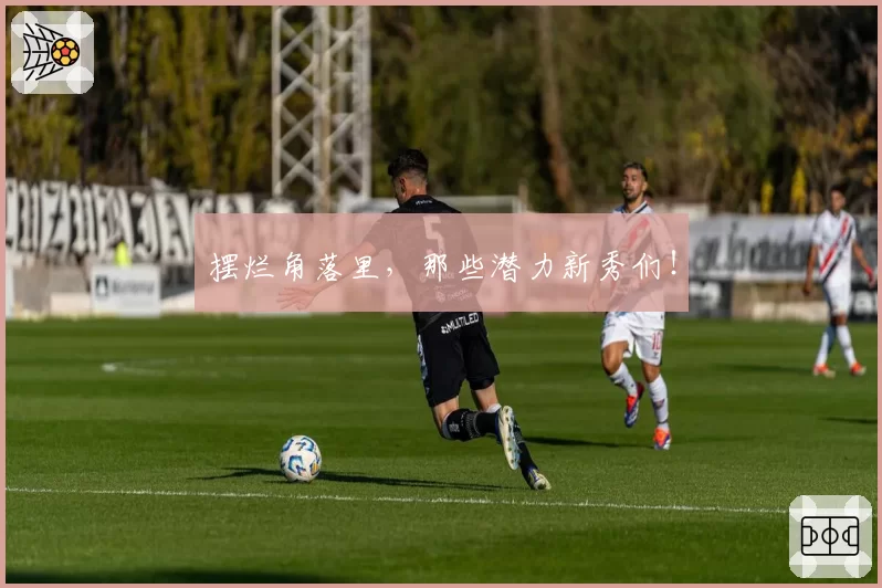 摆烂角落里，那些潜力新秀们！