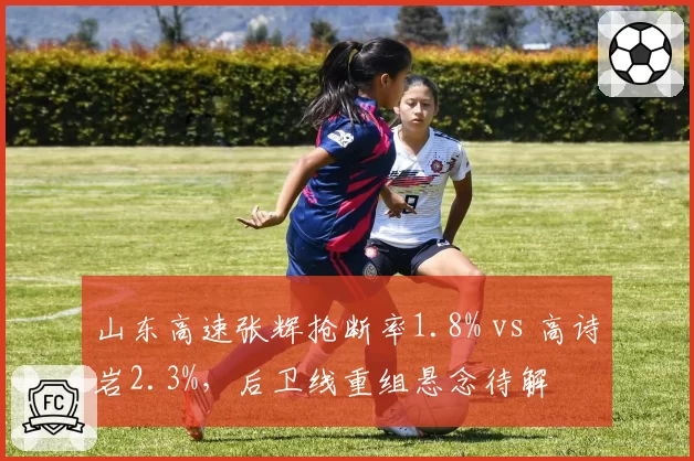 山东高速张辉抢断率1.8% vs 高诗岩2.3%，后卫线重组悬念待解